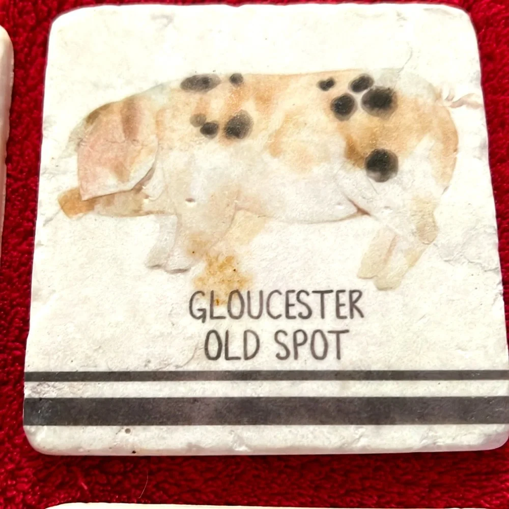 English Farm Animals Cows & Pigs Stone Coasters Set of 4